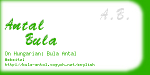 antal bula business card